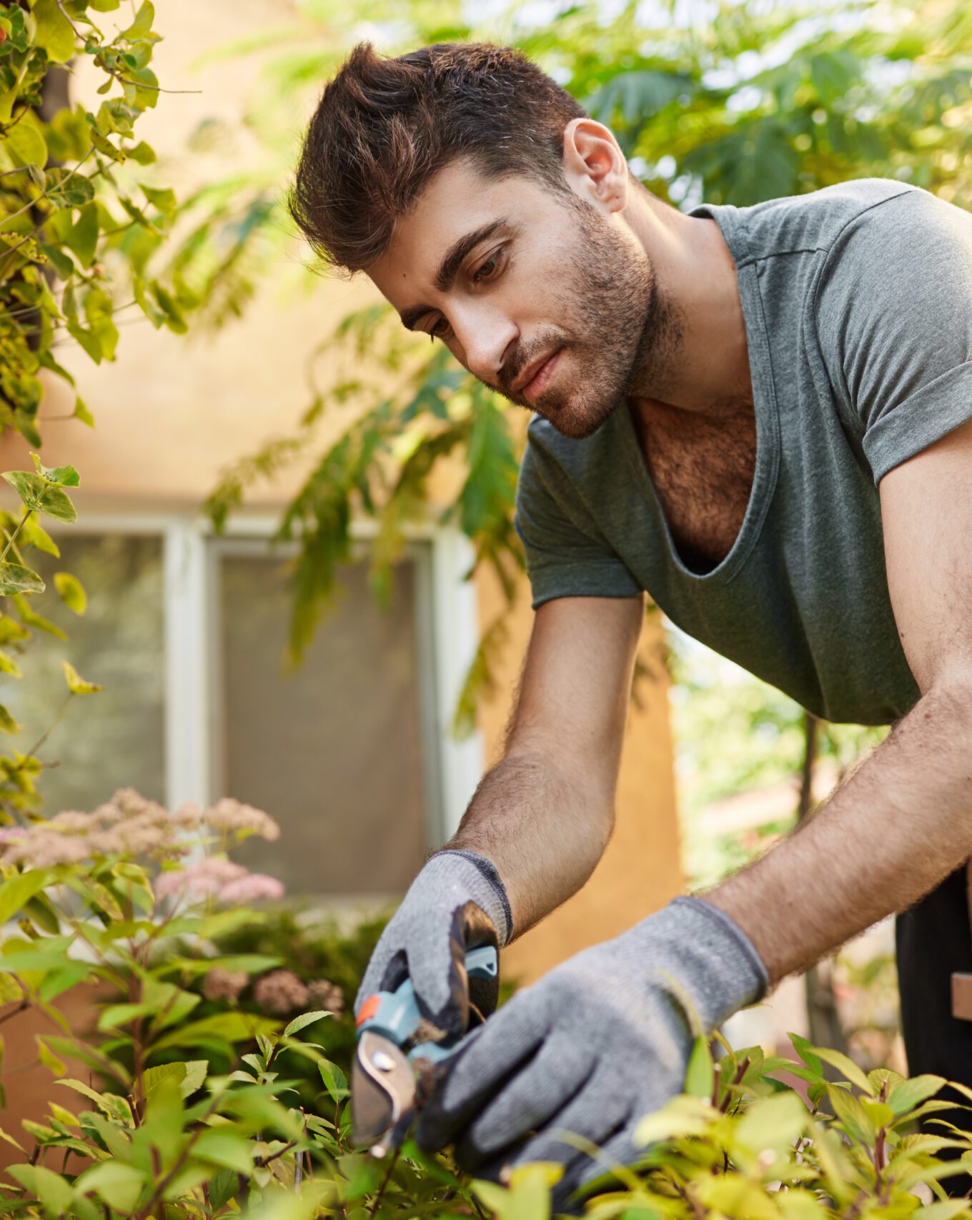 Outdoors portrait of young attractive bearded hispanic man in blue t-shirt and gloves working in garden with tools, cutting leaves, watering plants. Countryside life.